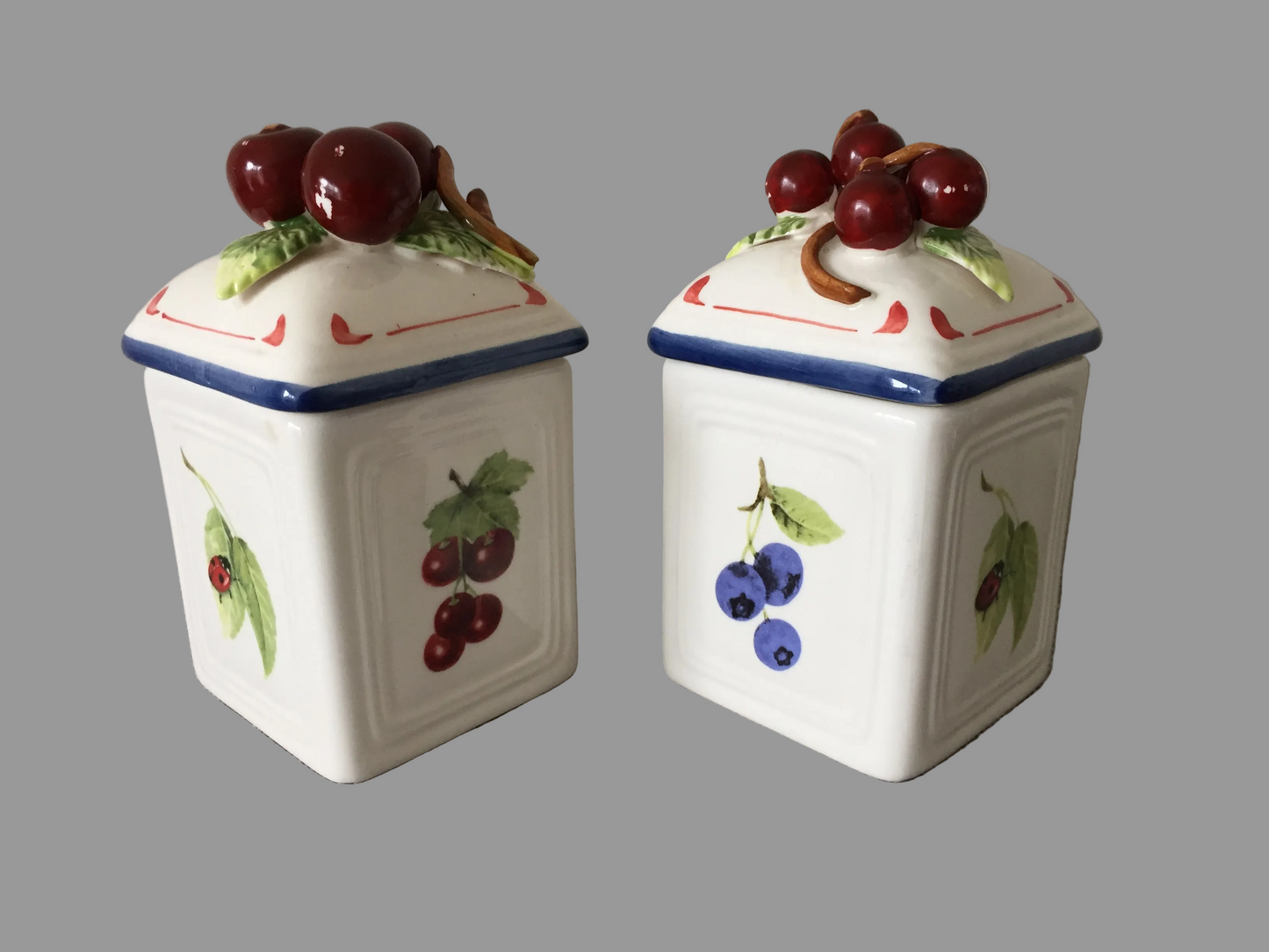 Villeroy & Boch 'Cottage Charm' Ceramic Canisters Pair | Jam Jars | Cherry | Blueberry