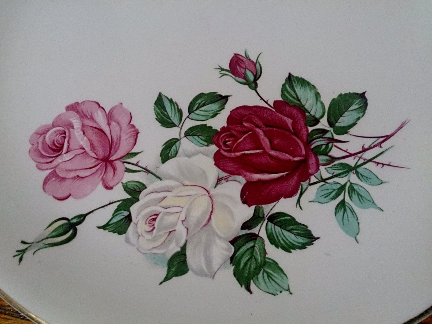 A Pair of Swinnertons Staffordshire Nestor Vellum 9" Luncheon or Salad Plates