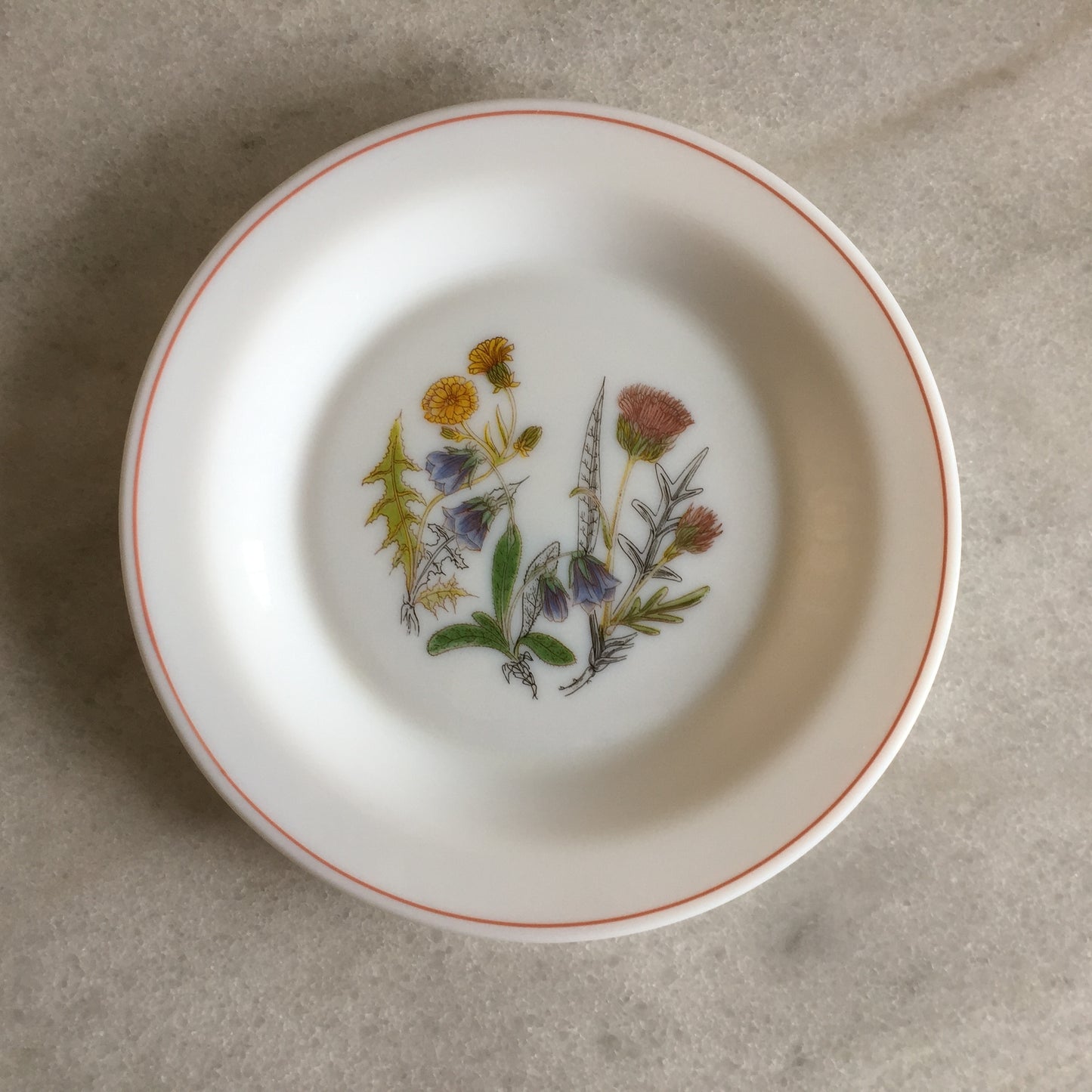 Arcopal France 1970s Vintage Opaline Side Plates, Wildflower Pattern