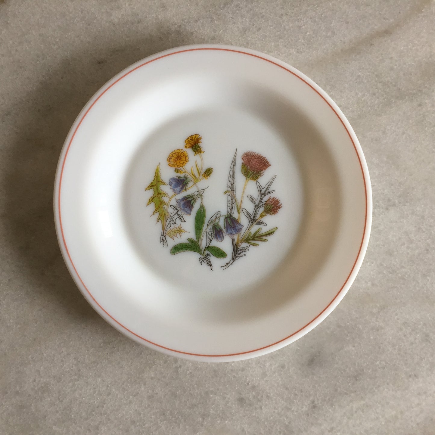 Arcopal France 1970s Vintage Opaline Side Plates, Wildflower Pattern