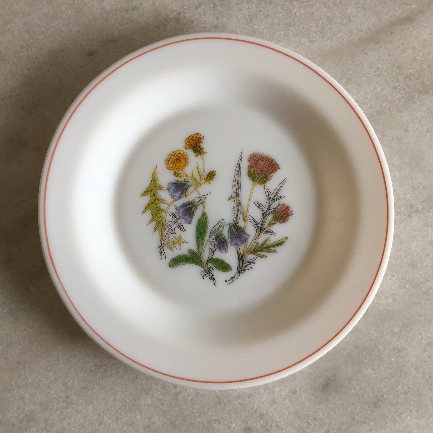Arcopal France 1970s Vintage Opaline Side Plates, Wildflower Pattern