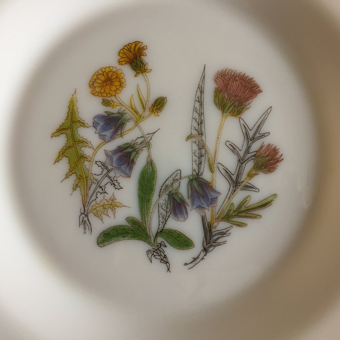Arcopal France 1970s Vintage Opaline Side Plates, Wildflower Pattern
