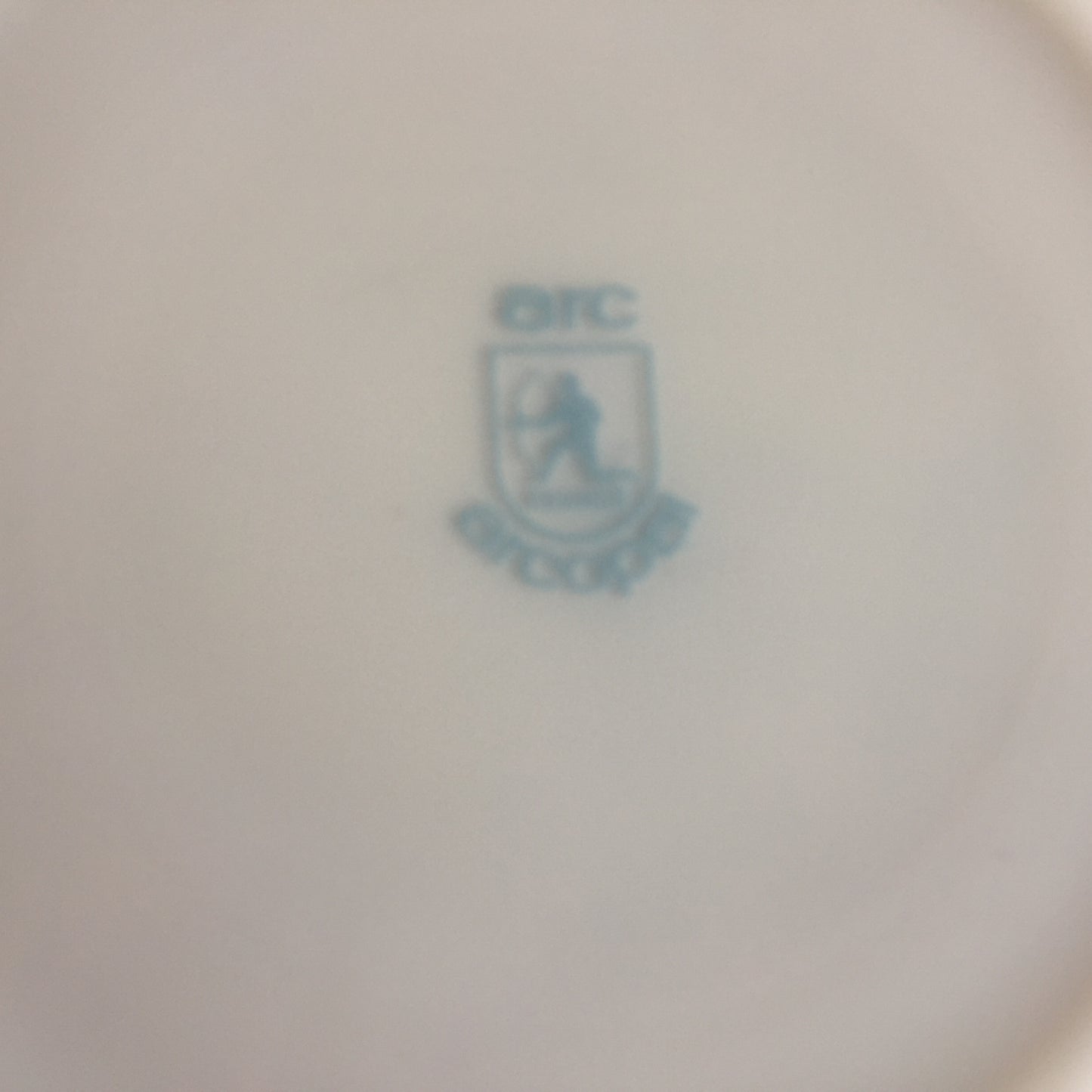 Vintage 1970s Arcopal "Blue Onion" Dinner or Side Plate Made in France
