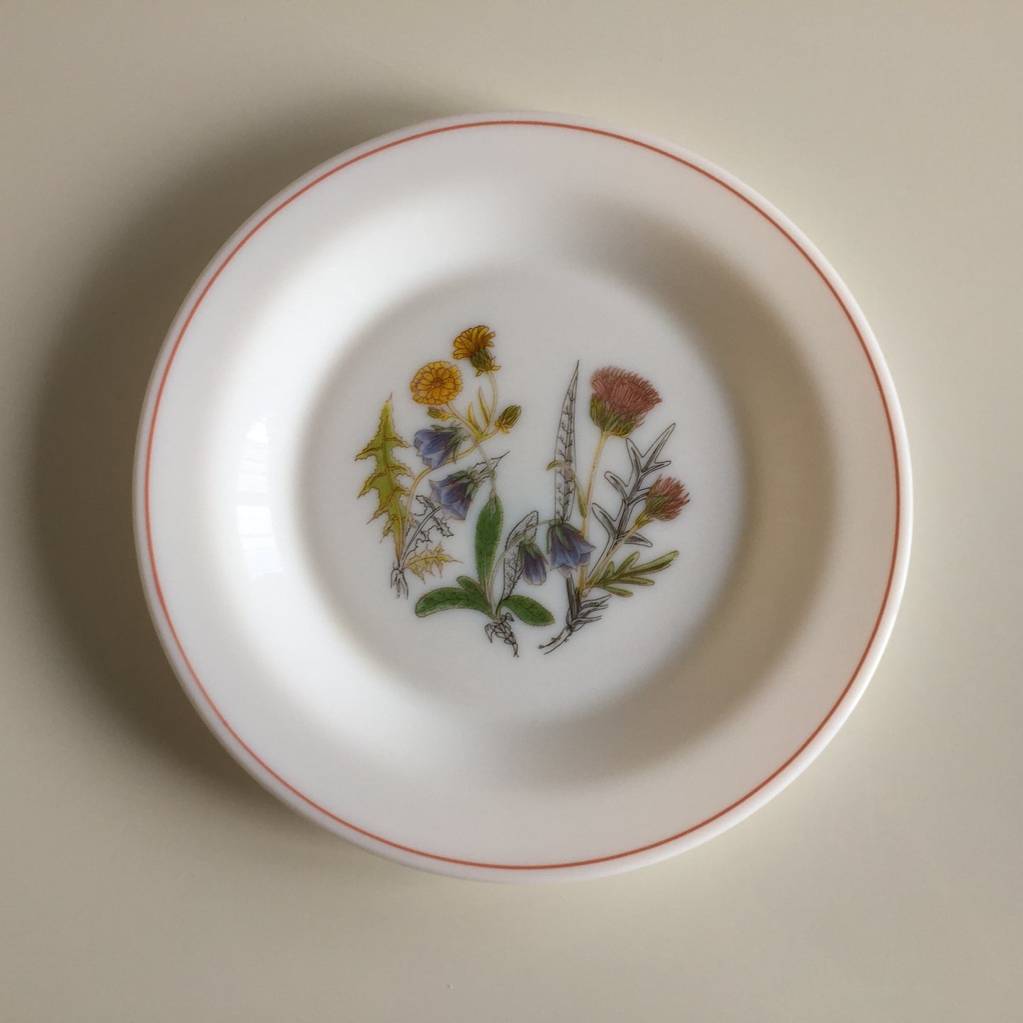 Arcopal France 1970s Vintage Opaline Side Plates, Wildflower Pattern