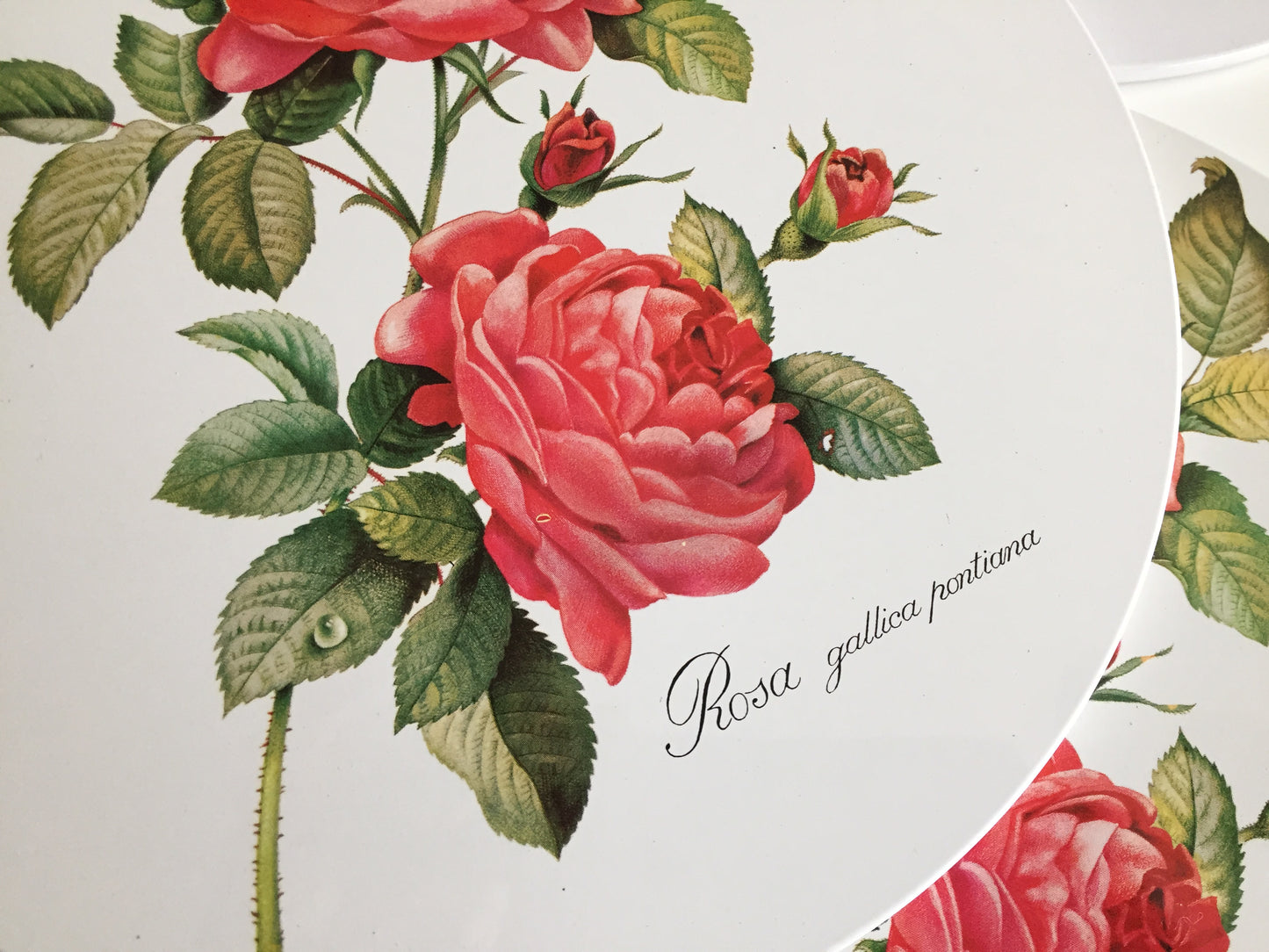 Worcester Ware Placemats & Drink Coasters Set of 12 | Rosa Gallica Pontiana