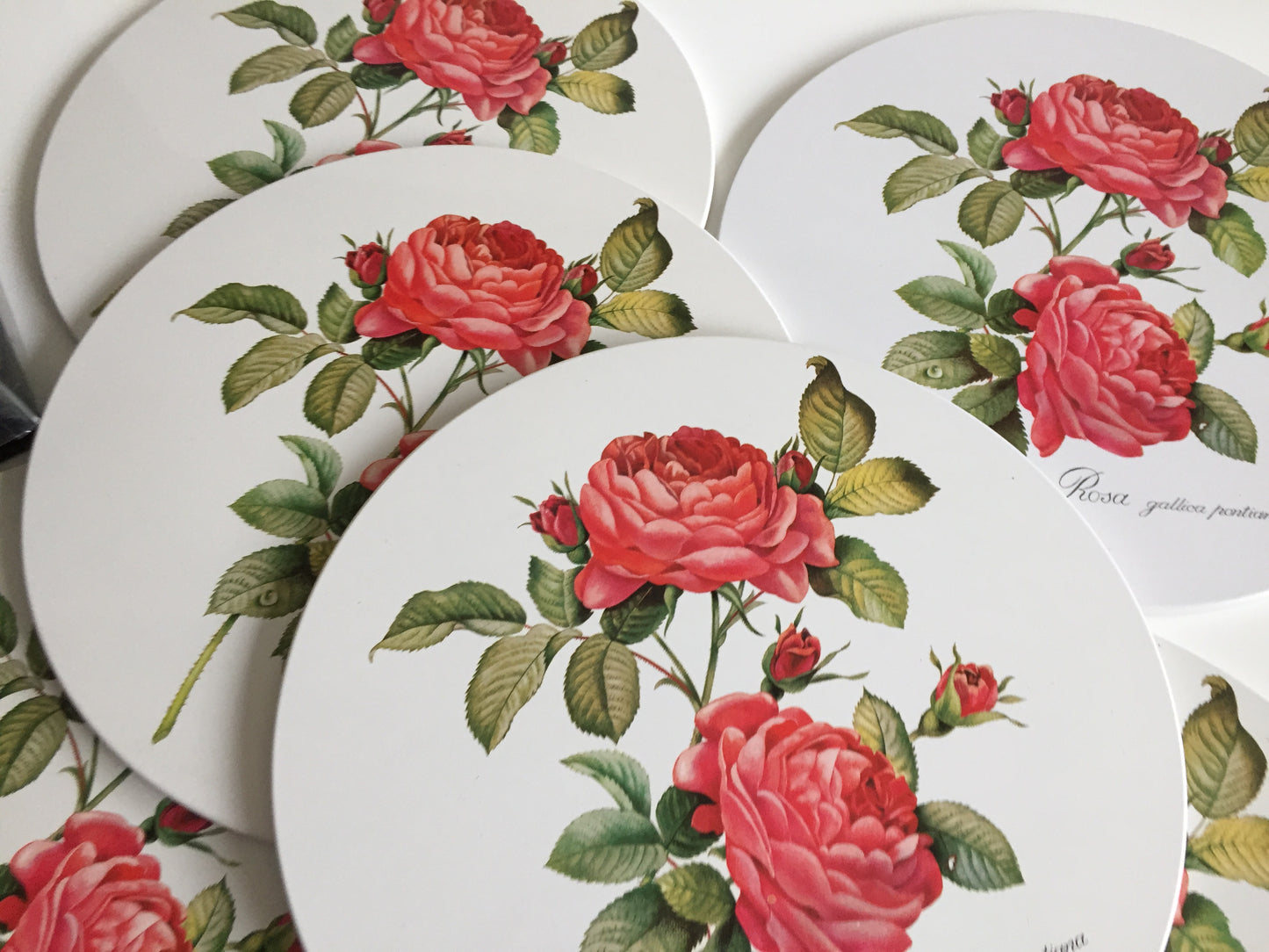 Worcester Ware Placemats & Drink Coasters Set of 12 | Rosa Gallica Pontiana