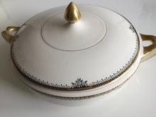 Load image into Gallery viewer, Vintage Alfred Meakin Wilton Dinner Set Replacements