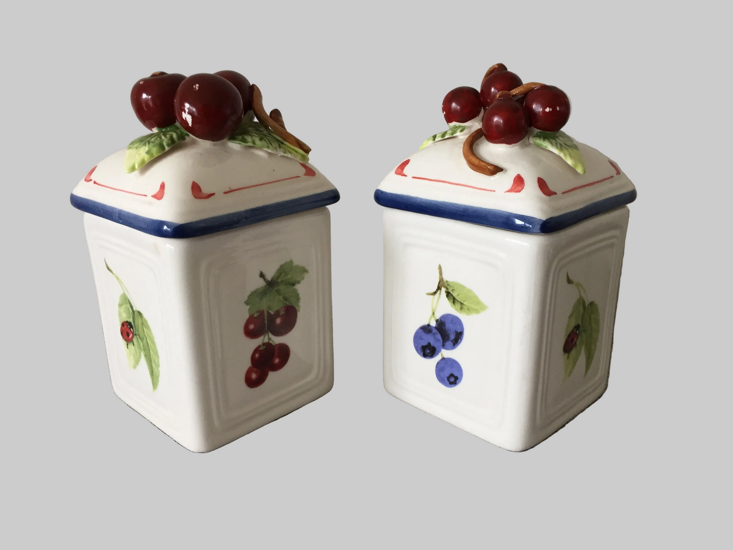 Villeroy & Boch 'Cottage Charm' Ceramic Canisters Pair | Jam Jars | Cherry | Blueberry