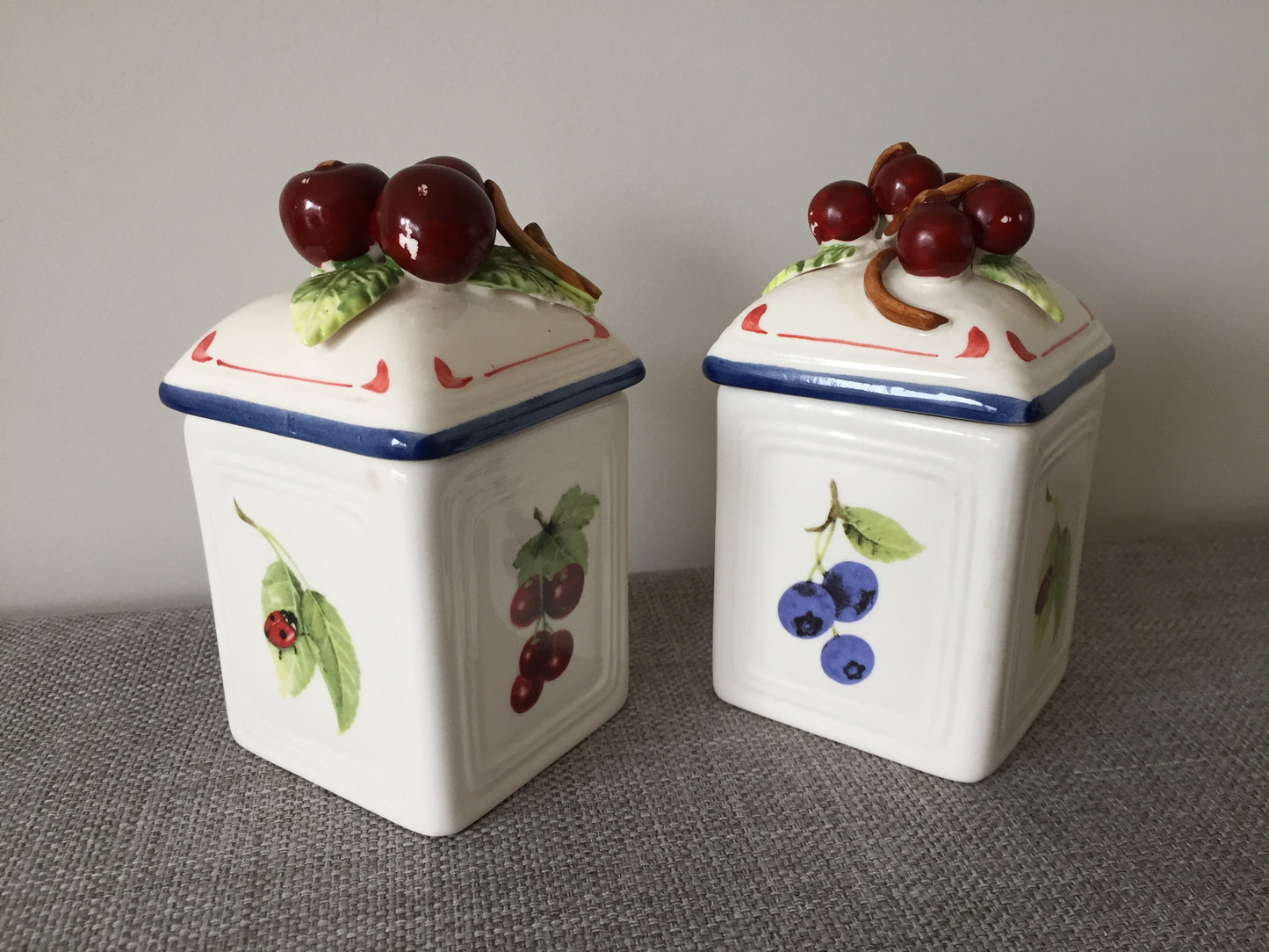 Villeroy & Boch 'Cottage Charm' Ceramic Canisters Pair | Jam Jars | Cherry | Blueberry