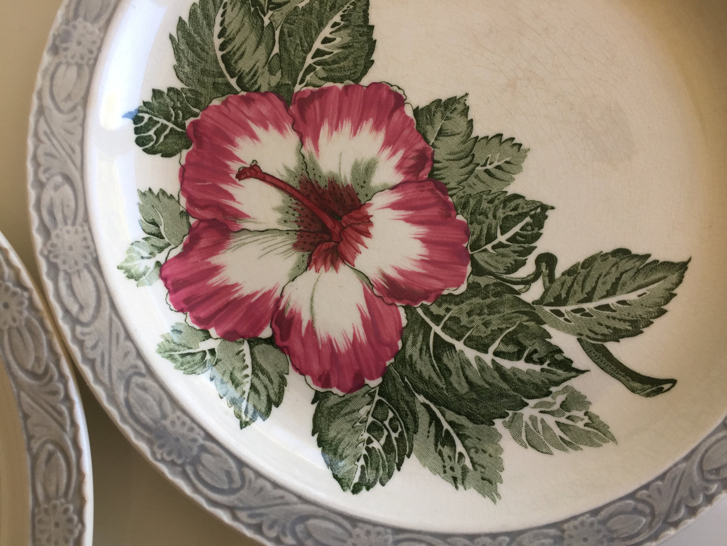English Vintage Royal Tudor Ware Barker Bros "HIBISCUS" Pattern Set of 4 Dinner Plates