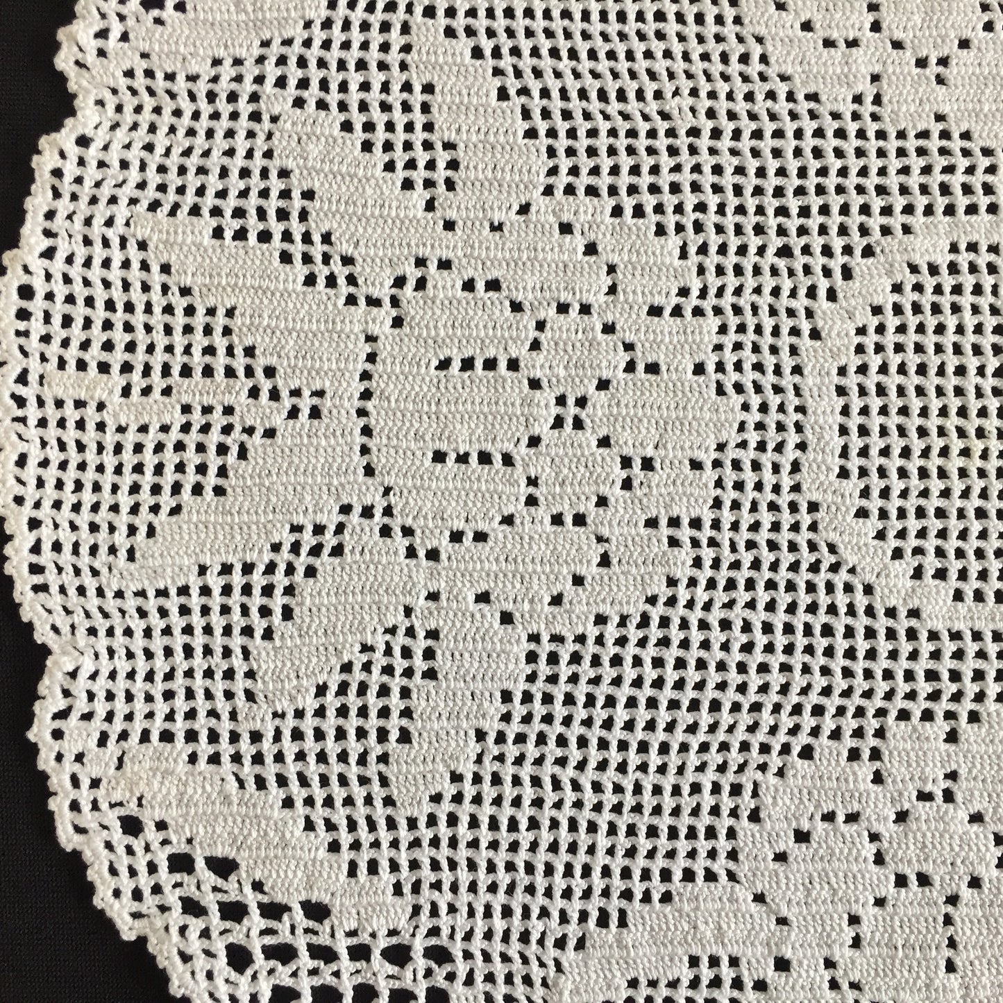 Waratah Flower Filet Crochet Lace White Cotton Handmade Vintage Doily
