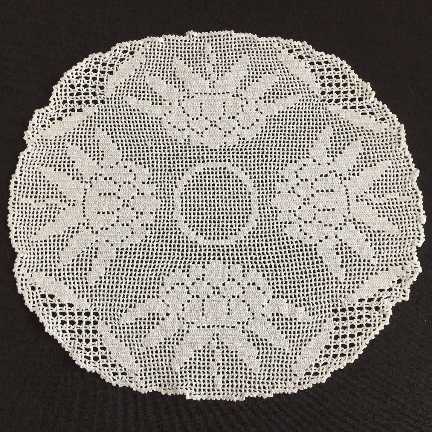 Waratah Flower Filet Crochet Lace White Cotton Handmade Vintage Doily