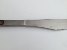 Load image into Gallery viewer, A Vintage Set of Stainless Steel Dinner &amp; Luncheon Knives Made in Japan