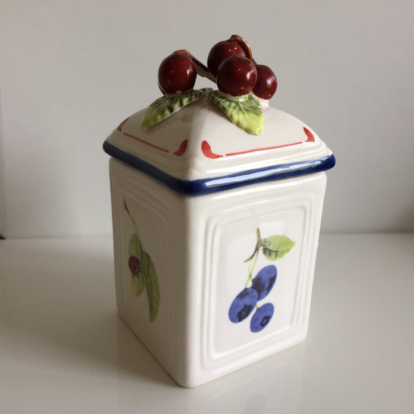 Villeroy & Boch 'Cottage Charm' Ceramic Canisters Pair | Jam Jars | Cherry | Blueberry