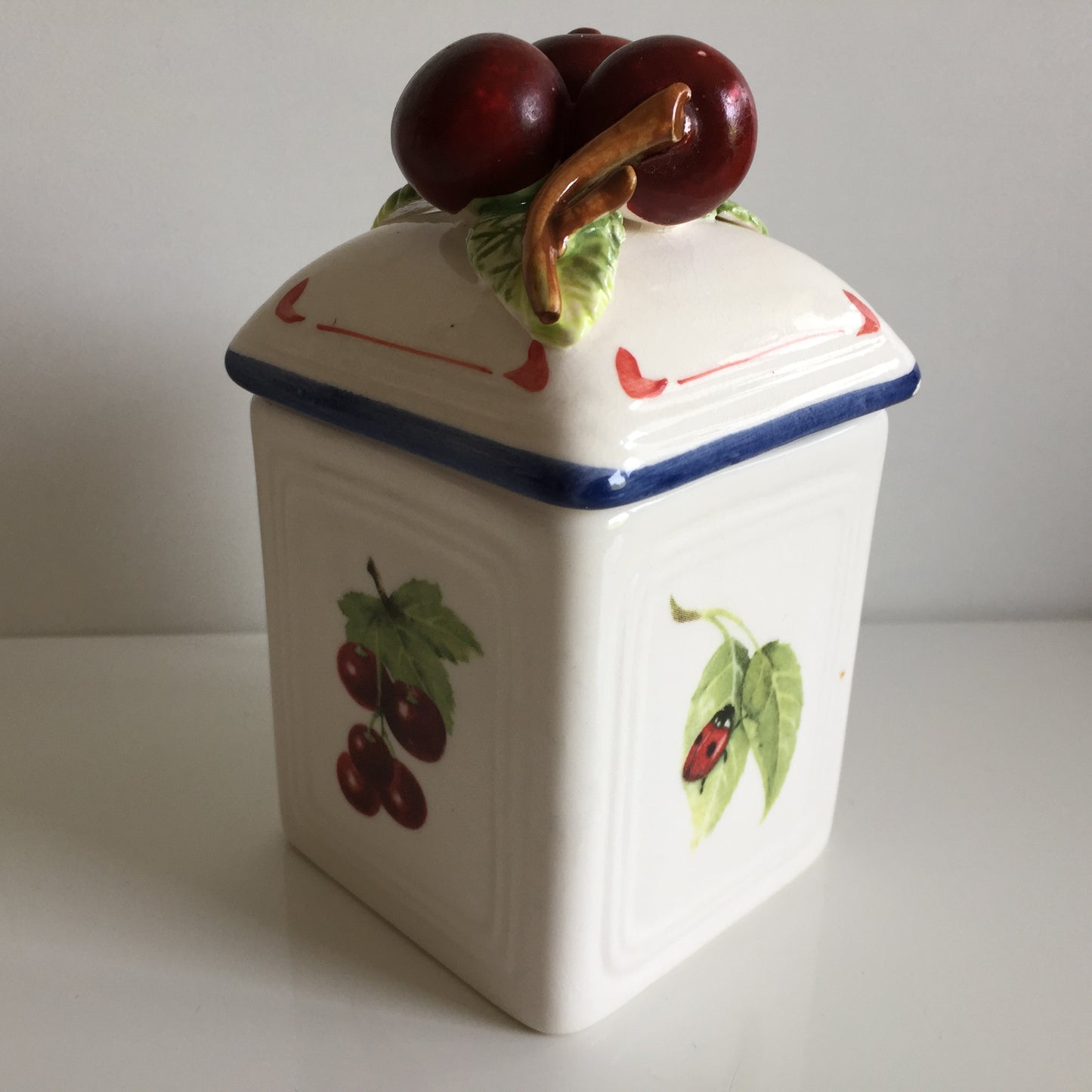 Villeroy & Boch 'Cottage Charm' Ceramic Canisters Pair | Jam Jars | Cherry | Blueberry