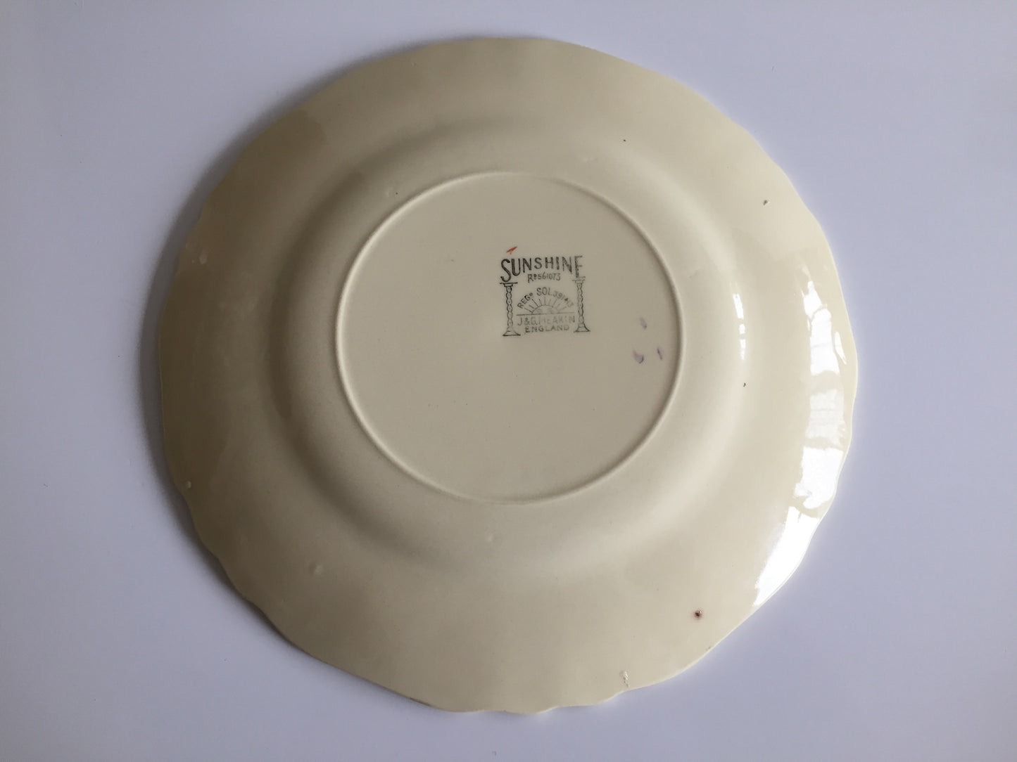 Vintage J & G Meakin English Rose Dinner, Salad or Side Plate, Ivory, Gold Trim
