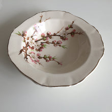 Load image into Gallery viewer, Small Vintage Alfred Meakin Dish with Peach Blossom Pattern