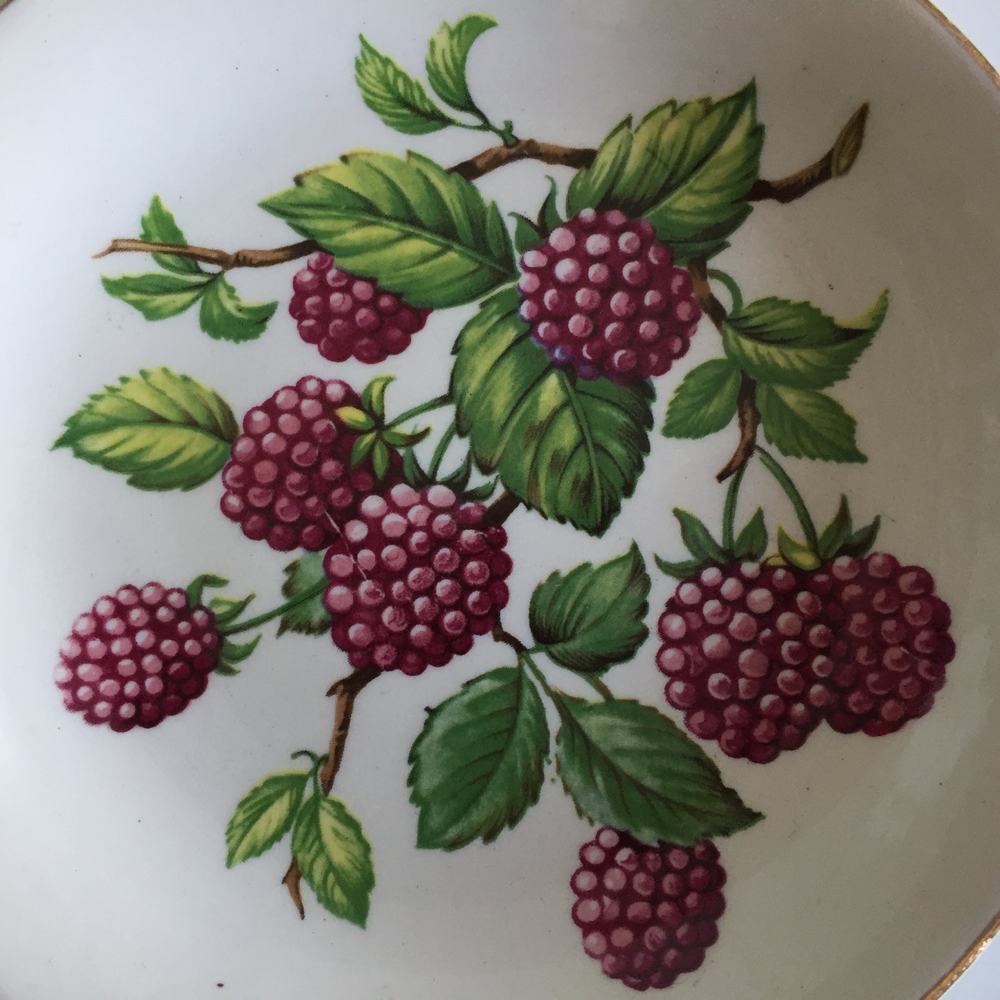 Swinnertons Staffordshire Blackberry Vintage Porcelain Pin Dish