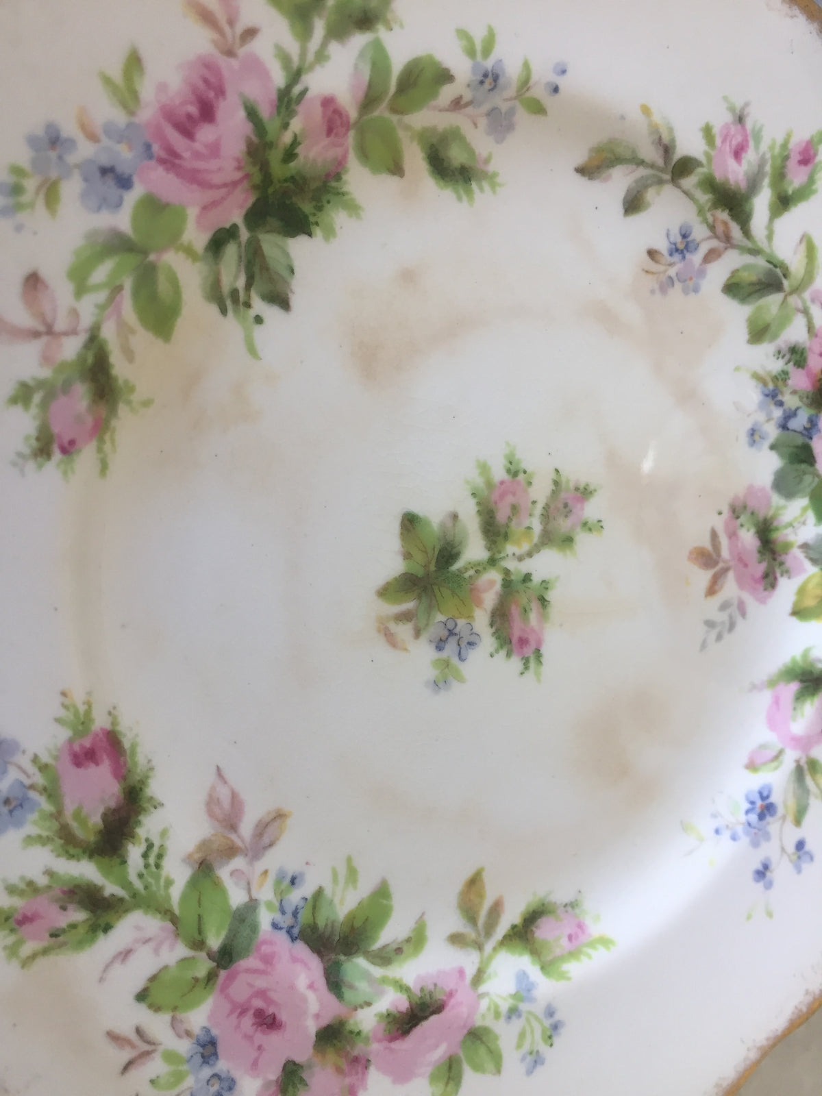 Vintage Moss Rose Teacup and Saucer, English Porcelain, Pink Roses, Blue Forget-Me-Nots