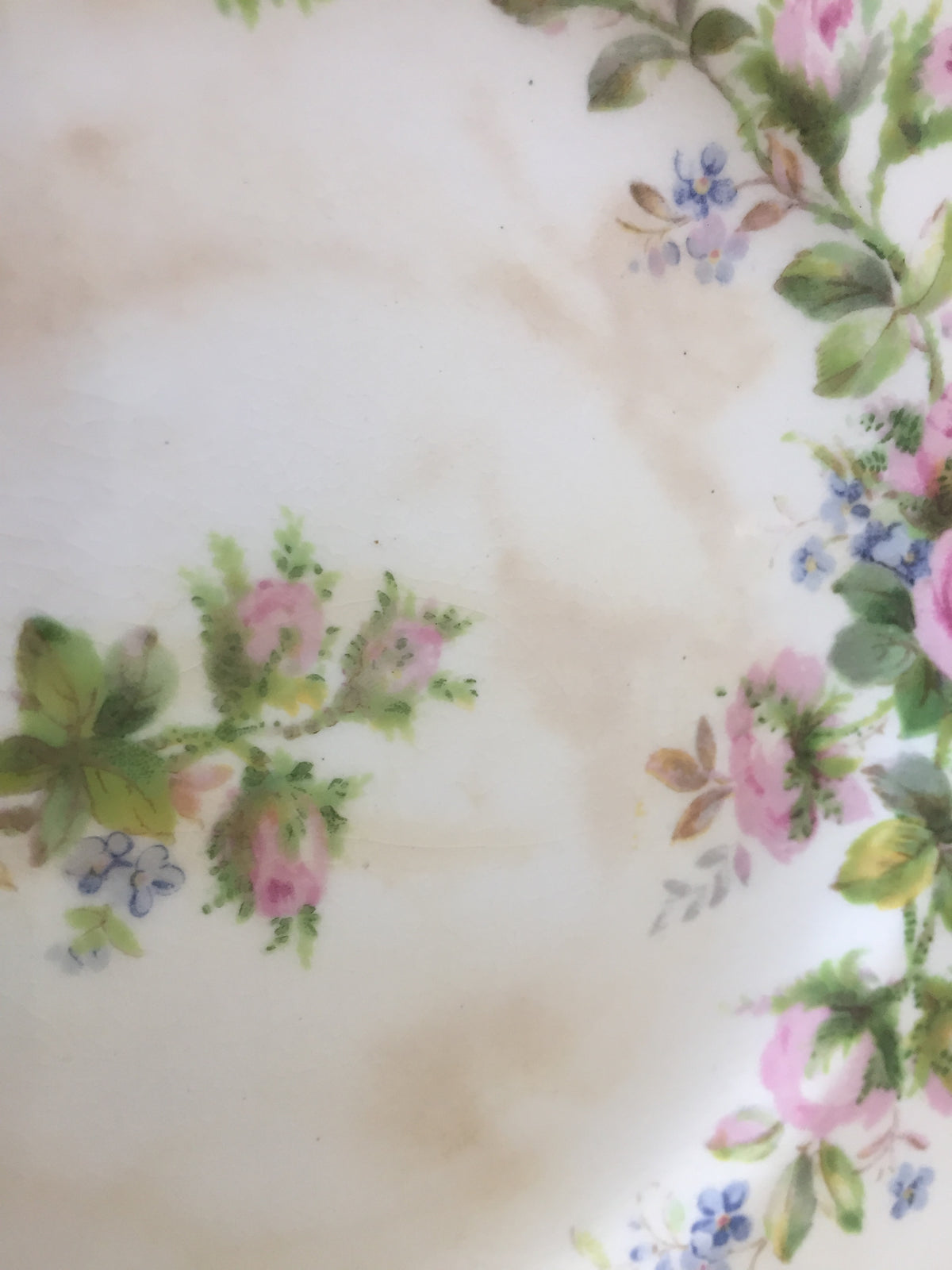 Vintage Moss Rose Teacup and Saucer, English Porcelain, Pink Roses, Blue Forget-Me-Nots
