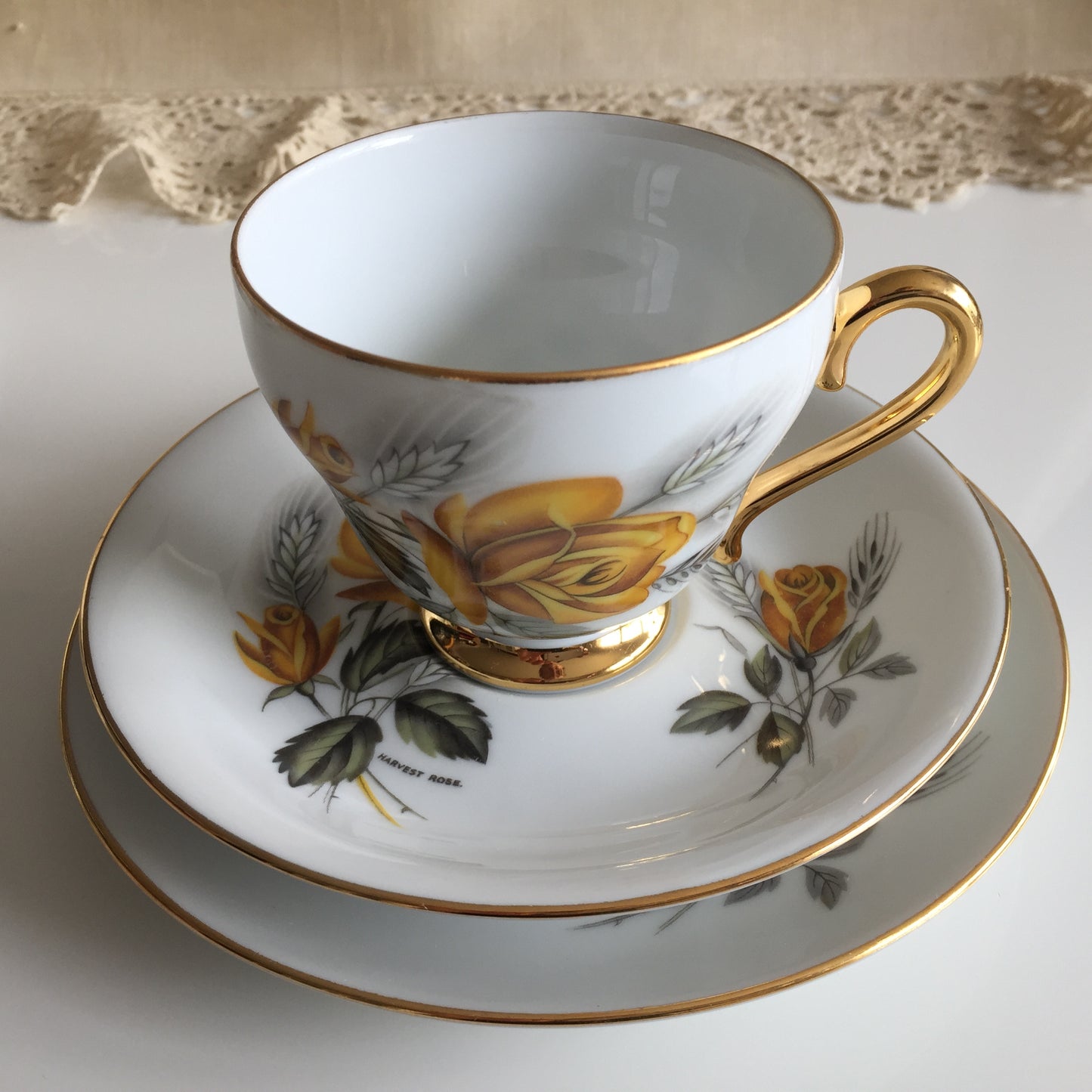 Vintage Porcelain Demitasse Trio with Rose Pattern: Teacup, Saucer & Dessert Plate