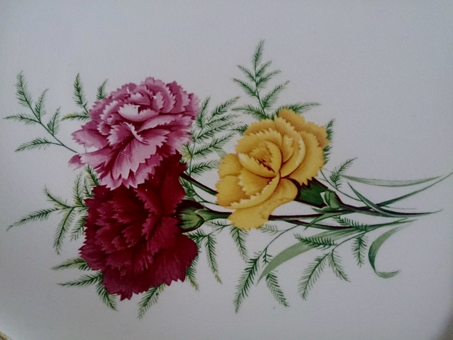 A Pair of Swinnertons Staffordshire Nestor Vellum 9" Luncheon or Salad Plates
