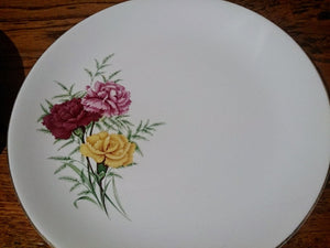 A Pair of Swinnertons Staffordshire "Nestor Vellum" 9" Dinner or Salad Plates