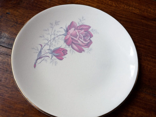 Vintage Swinnertons Staffordshire 