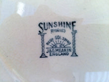 Load image into Gallery viewer, J G Meakin (England) Sunshine Reg SOL 391413 Oval Serving Platter