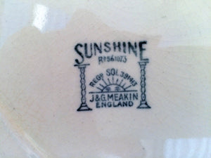 J G Meakin (England) Sunshine Reg SOL 391413 Oval Serving Platter