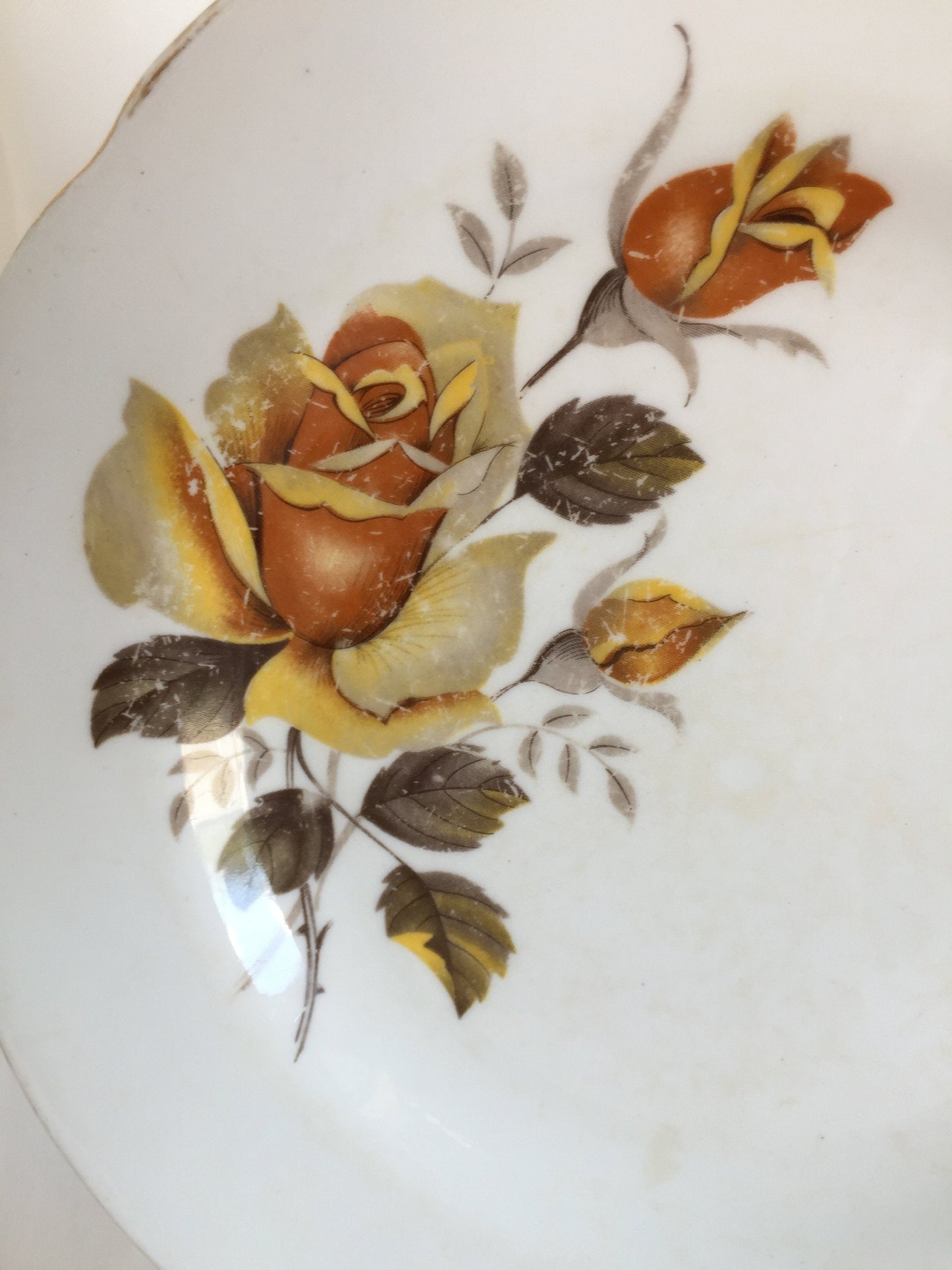 2 Regency (England) 6.5" Bread and Butter Plates with Yellow Roses