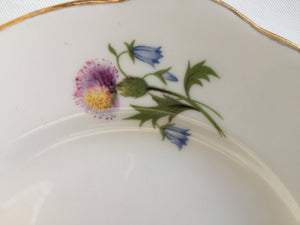 2 Duchess (UK) Thistles and Bluebells Pattern 6.5" Dessert/Side Plates