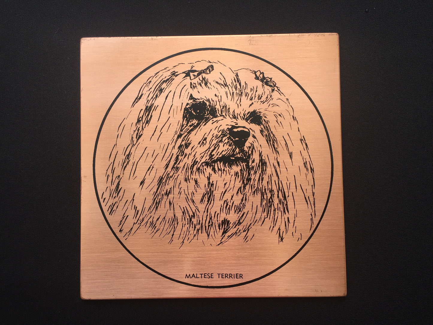 Vintage Copper "Maltese Terrier" Dog Portrait Retro Wall Decor