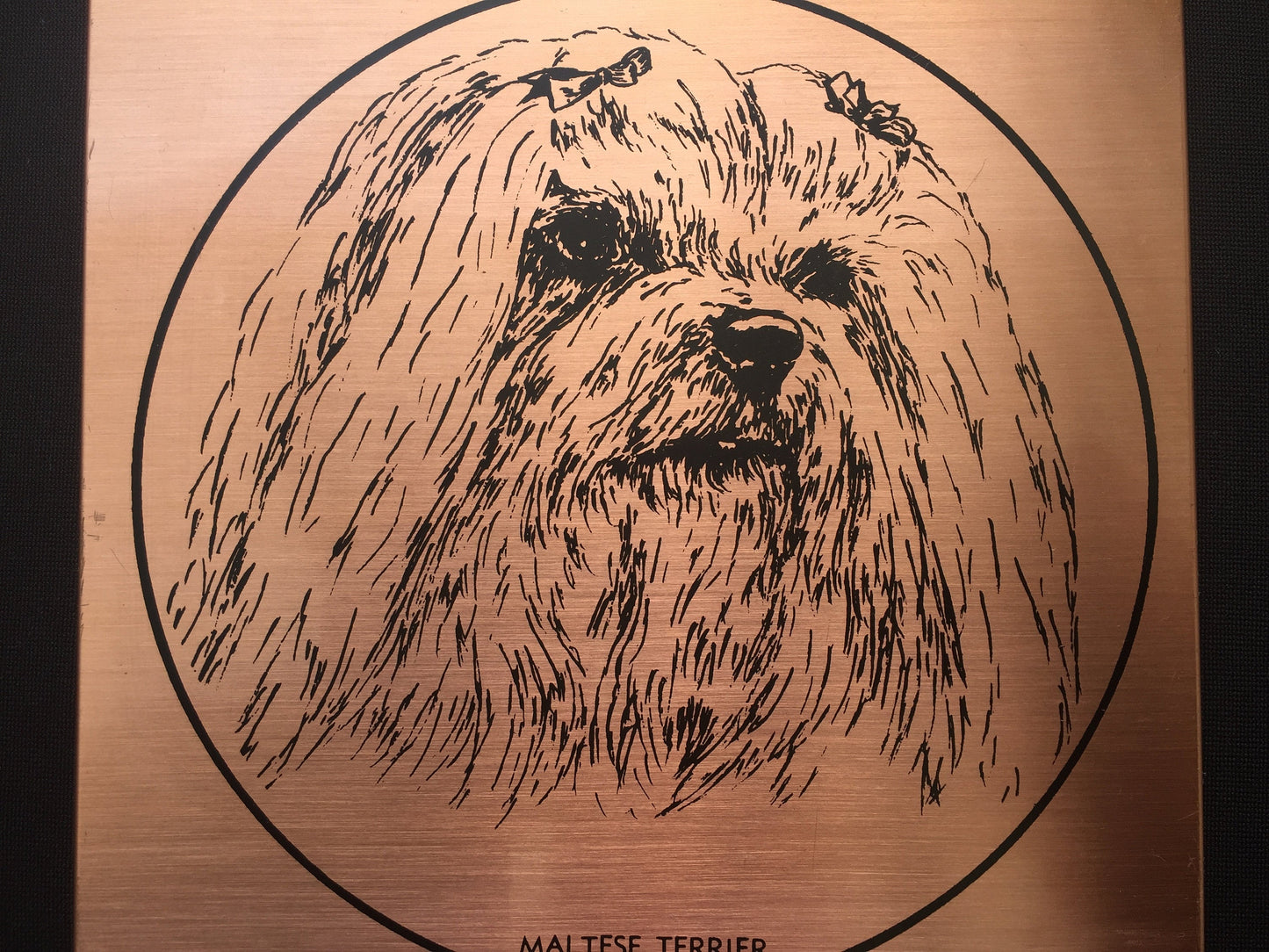 Vintage Copper "Maltese Terrier" Dog Portrait Retro Wall Decor