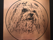 Load image into Gallery viewer, Vintage Copper &quot;Maltese Terrier&quot; Dog Portrait Retro Wall Decor
