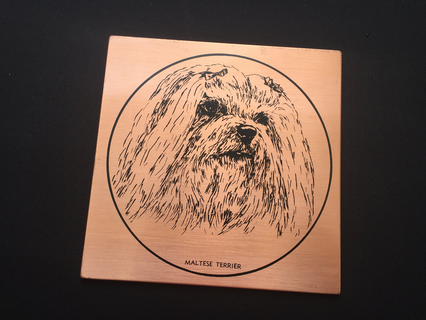 Vintage Copper "Maltese Terrier" Dog Portrait Retro Wall Decor