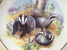 Load image into Gallery viewer, Wildlife of Britain Decorative Plate &quot;Badgers&quot; Designed by Susan Beresford