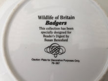 Load image into Gallery viewer, Wildlife of Britain Decorative Plate &quot;Badgers&quot; Designed by Susan Beresford