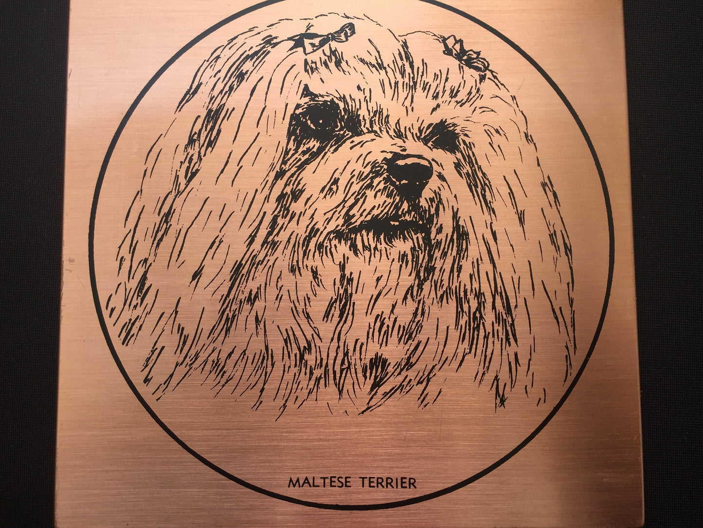 Vintage Copper "Maltese Terrier" Dog Portrait Retro Wall Decor