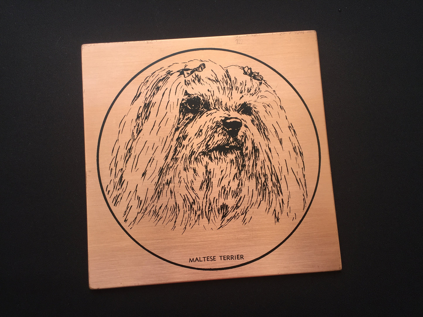 Vintage Copper "Maltese Terrier" Dog Portrait Retro Wall Decor